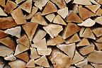 Kaminholz
