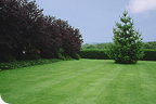 Gartenanlage