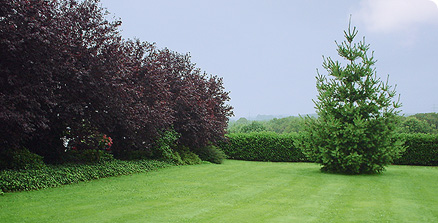 Gartenanlage